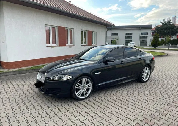 jaguar dolnośląskie Jaguar XF cena 35900 przebieg: 220000, rok produkcji 2014 z Skawina